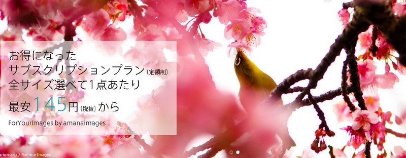 �A�}�i�C���[�W�Y���^�c����i���E���S�̃X�g�b�N�t�H�g�yForYourImages�z���T�C�g